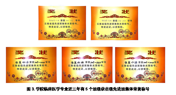 文本框: 图3.学院临床医学专业近三年有5个班级获省级先进班集体荣誉称号